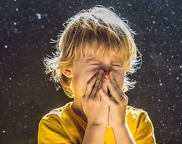 Qualité de l'air domestique et ventilation mécanique contrôlée : Cette technologie est-elle vraiment nécessaire ?