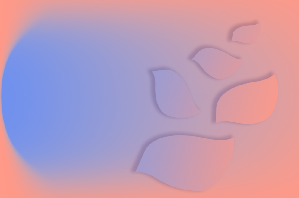 Ceiling & Floor: un air parfait dans tous les recoins